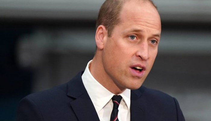 Prince William Sends Shockwaves With ‘truth’ Behind Diana’s ...